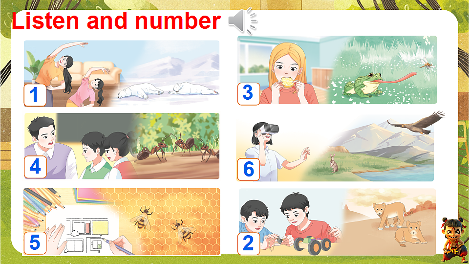 18186229第3页