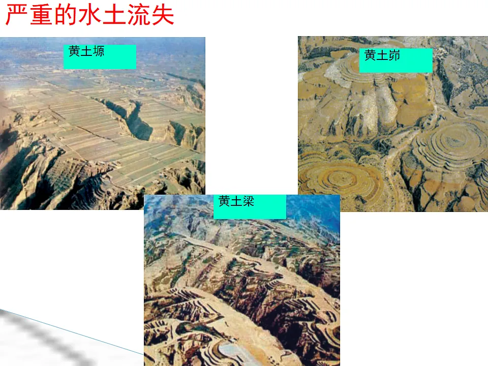 18188954第8页