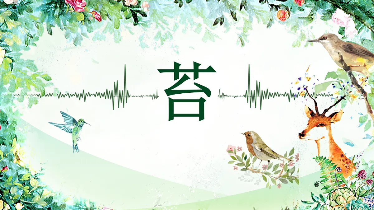 18189347第3页