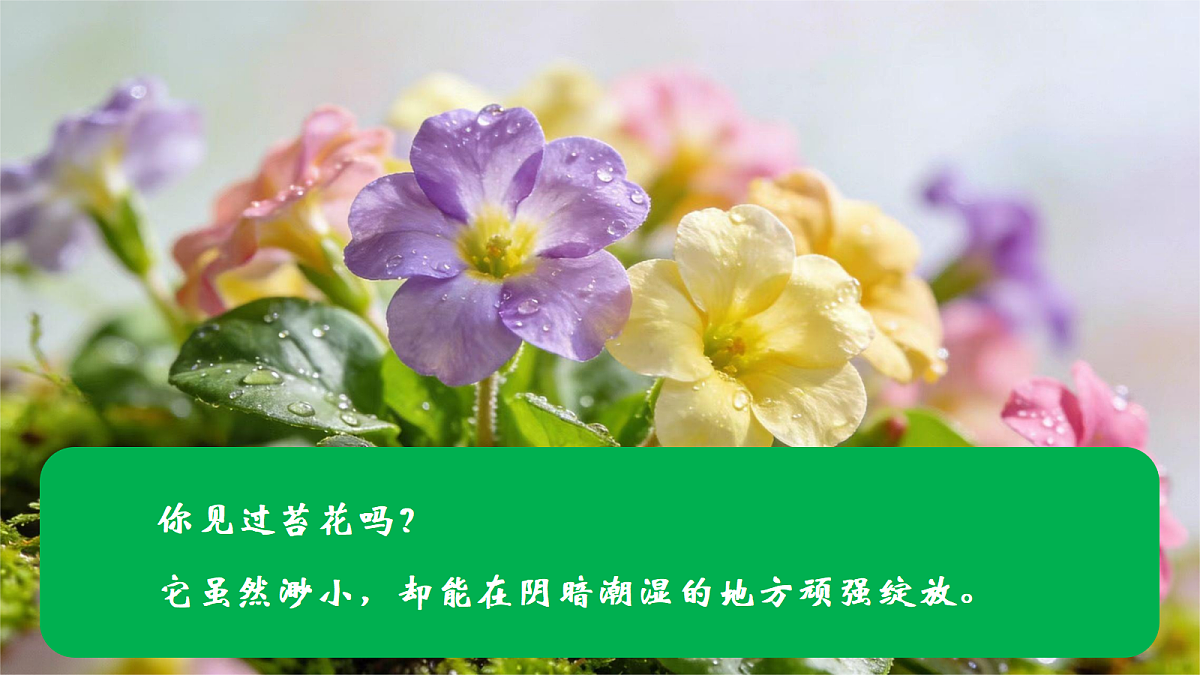 18189348第1页