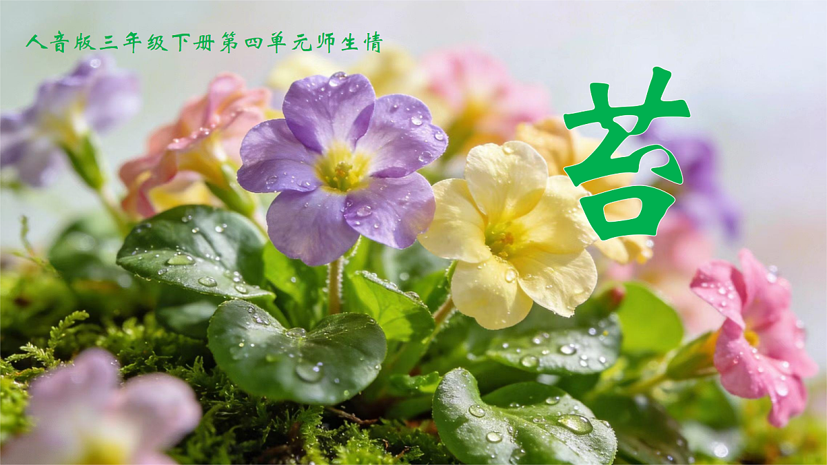 18189348第2页