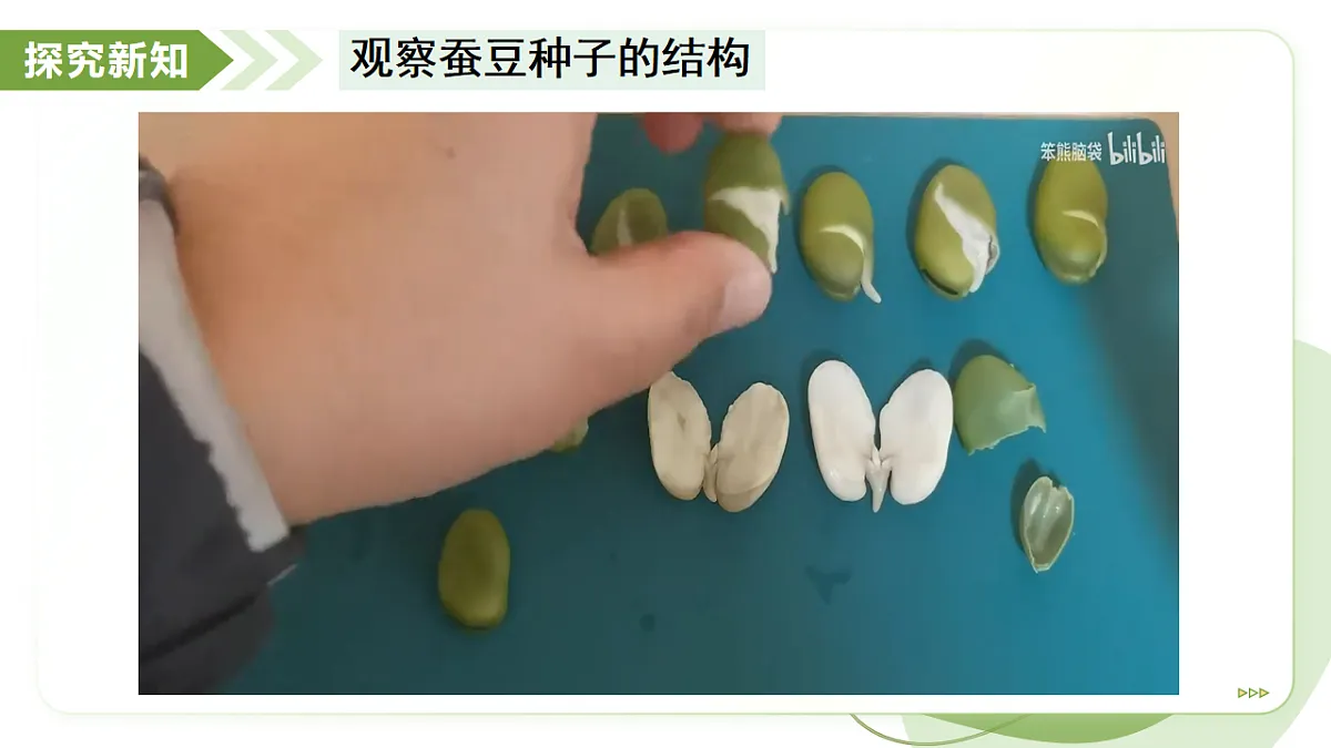 18193975第7页