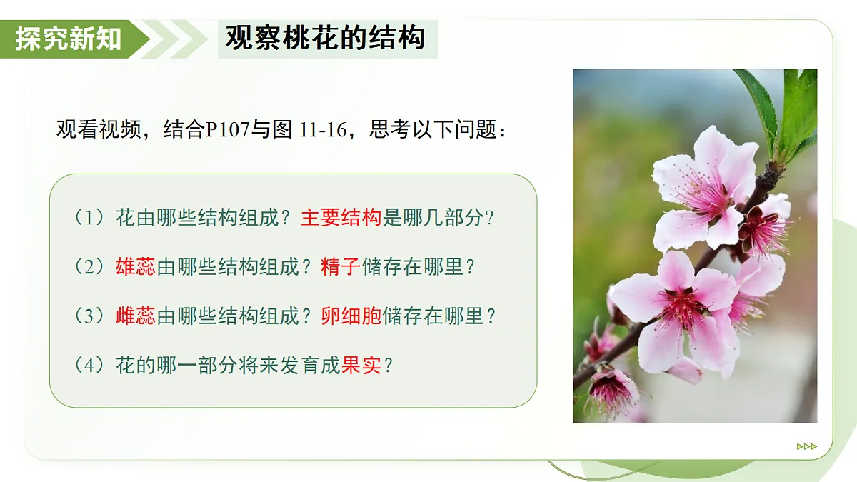 18193979第4页