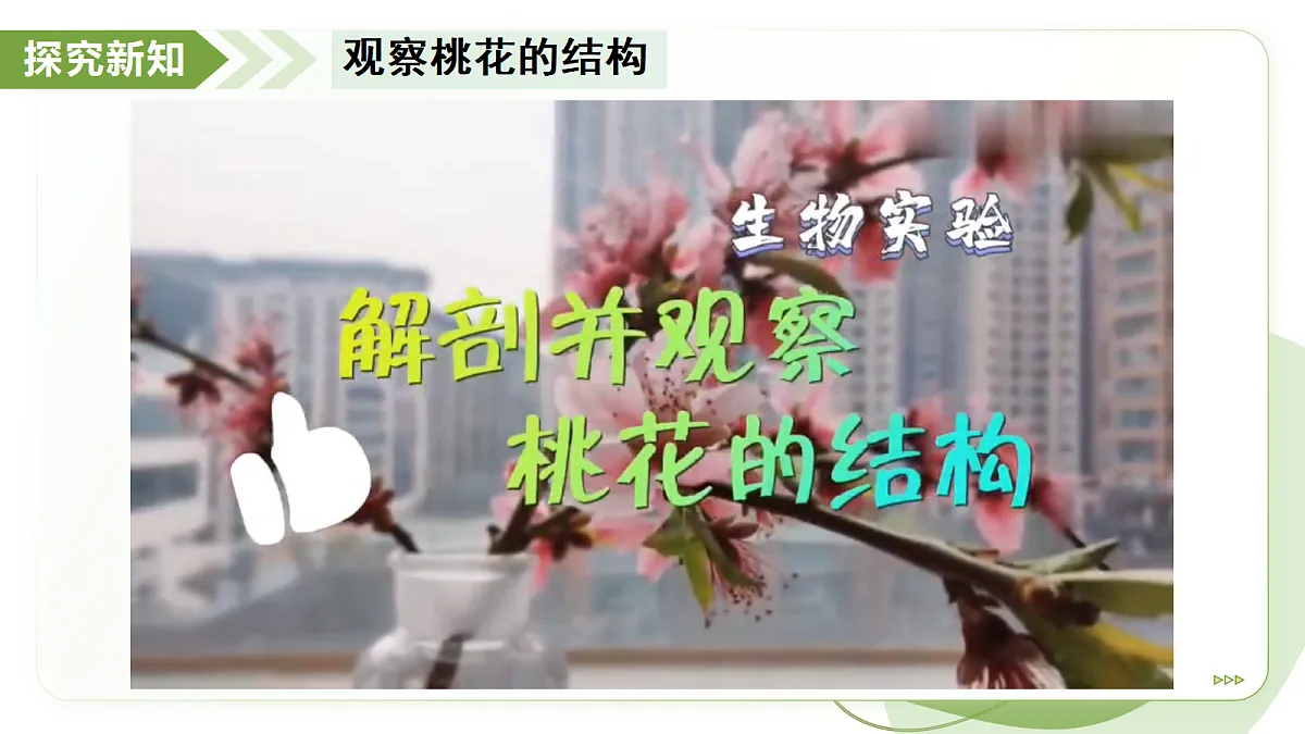 18193979第5页