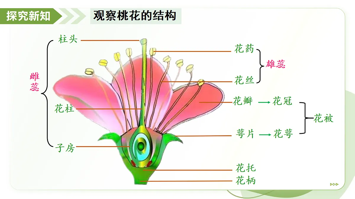 18193979第6页