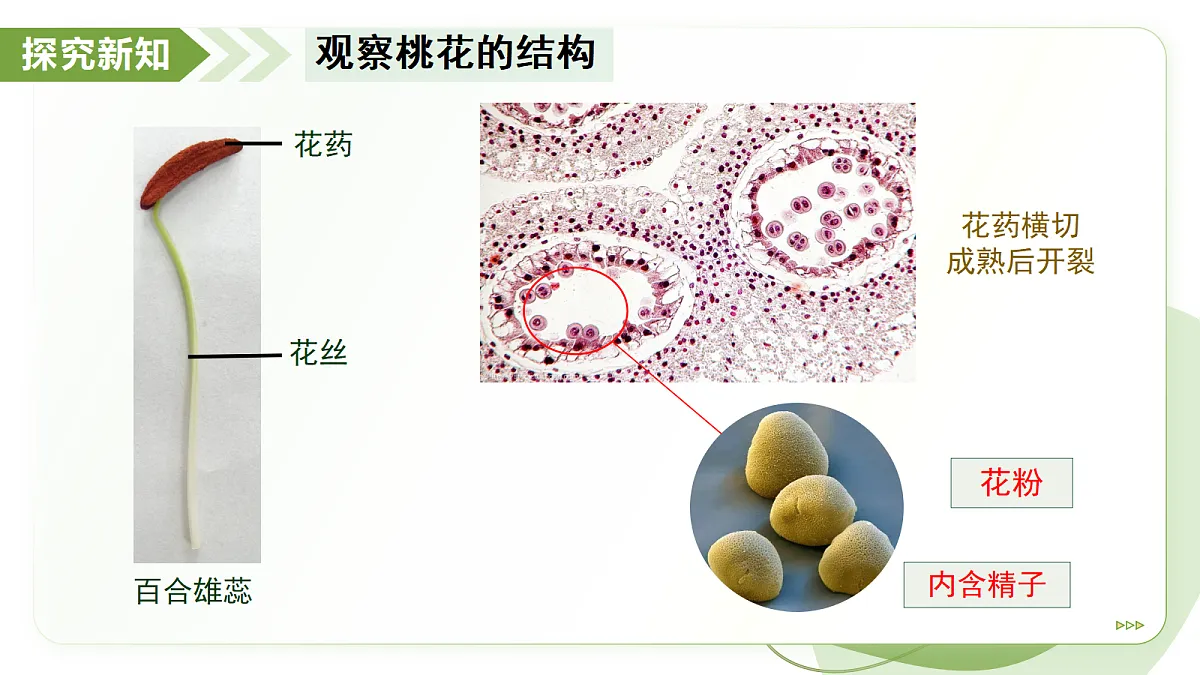 18193979第7页