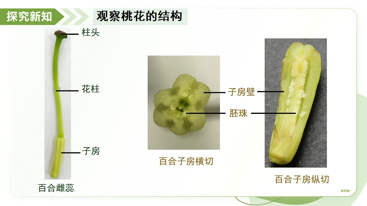 18193979第8页
