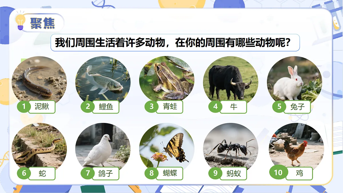 18194685第6页