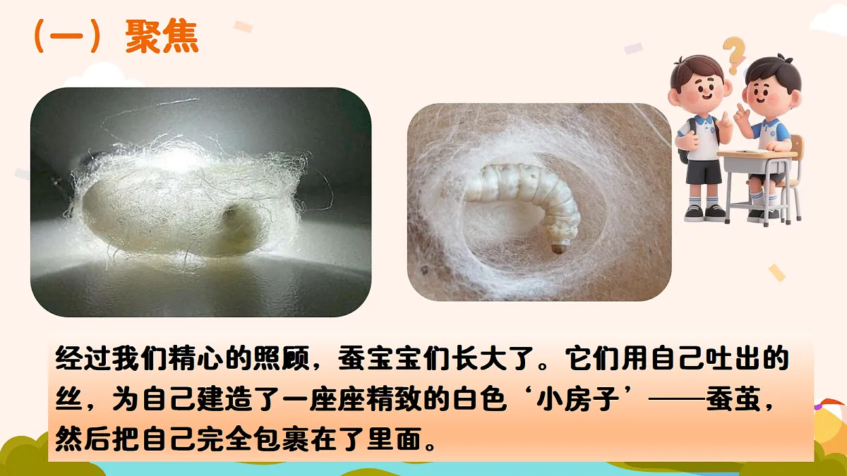 18194690第2页