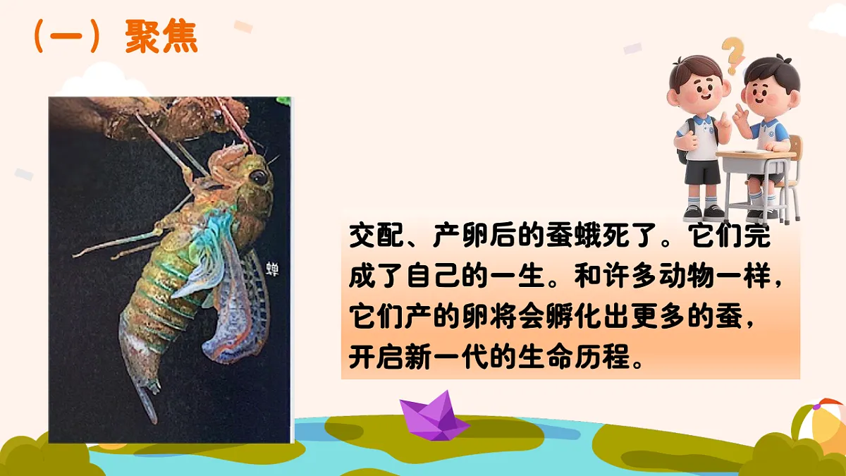 18194692第3页