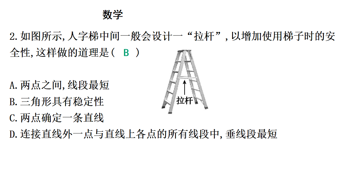 18195541第8页