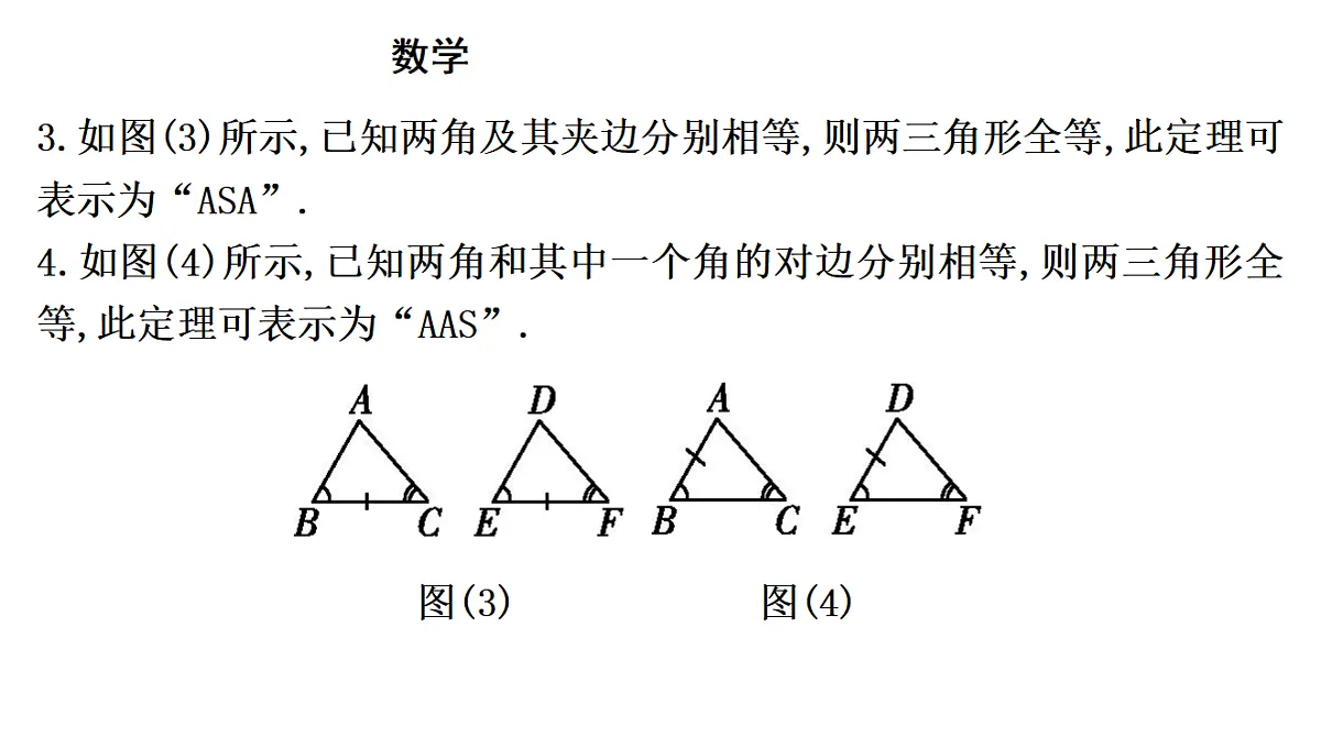 18195544第5页