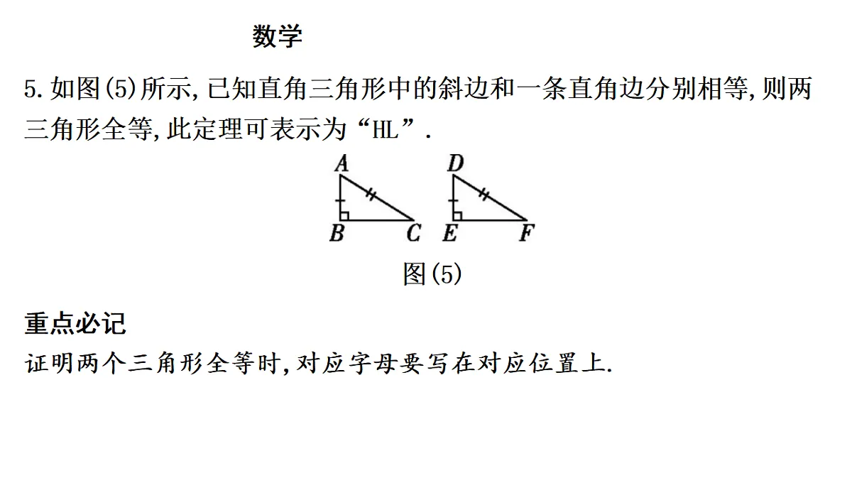 18195544第6页