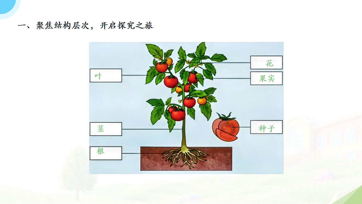 18195656第2页