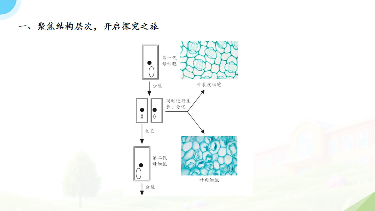 18195656第3页