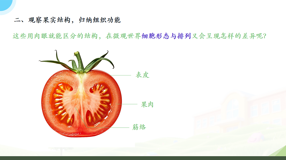 18195656第4页