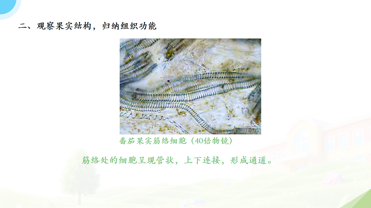 18195656第8页