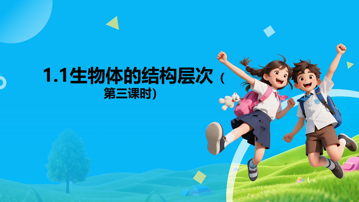 18195657第1页