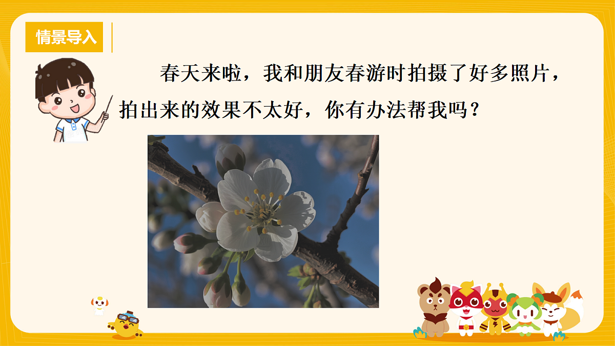 18196280第1页