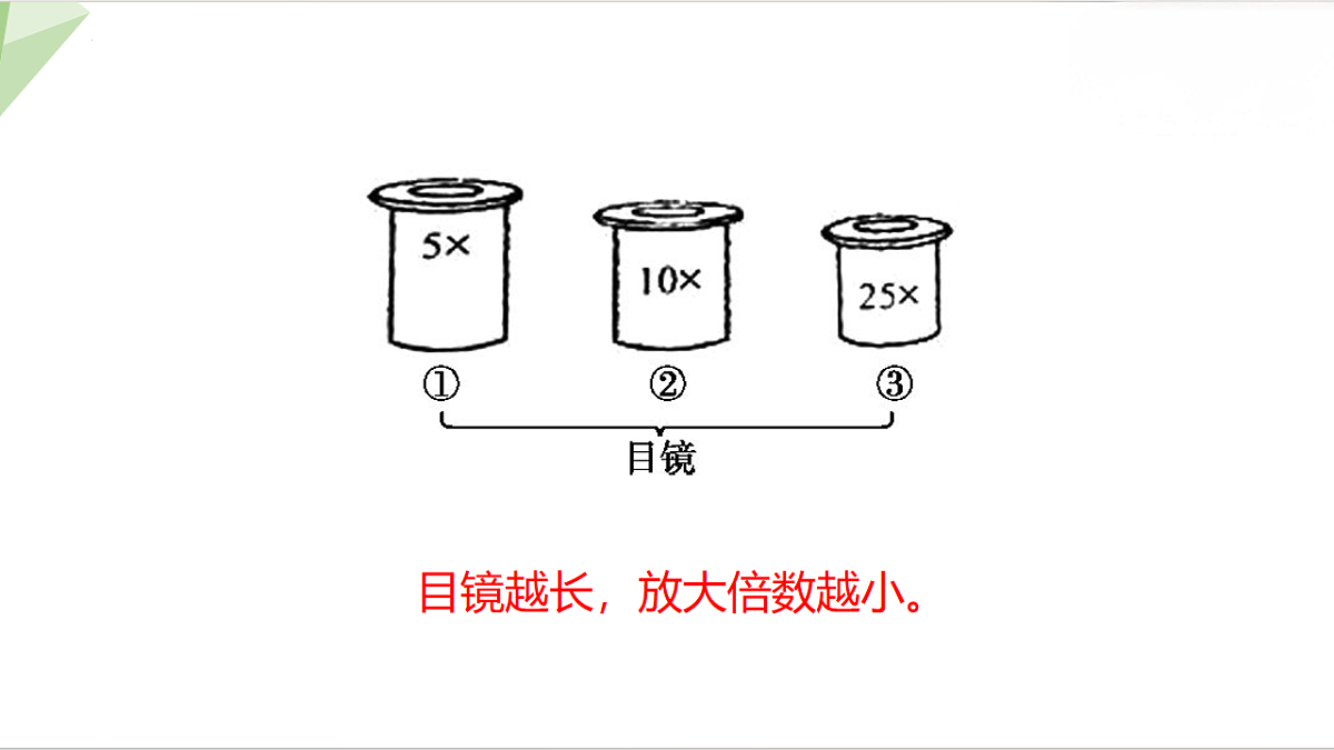 18197100第8页