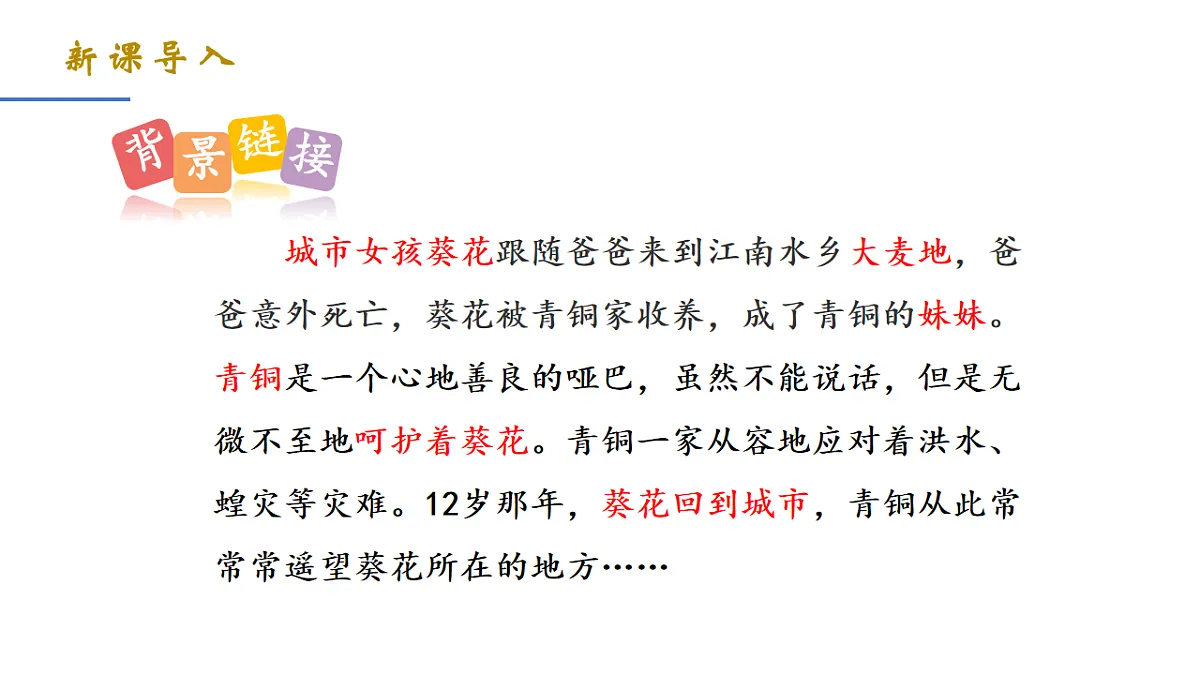 18198458第5页