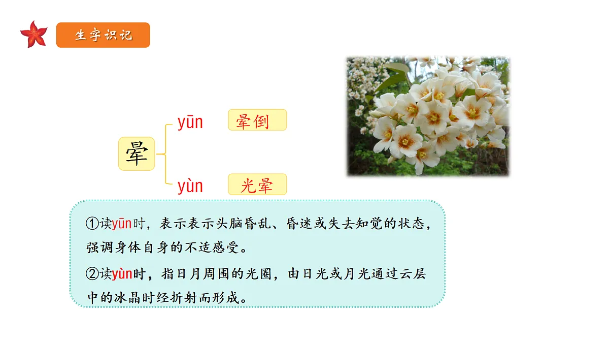 18198459第8页