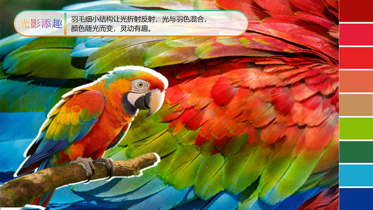 2.3 斑斓的色彩 精品课件第6页