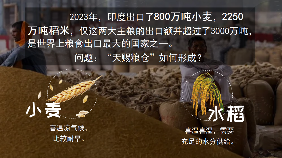 18199691第2页