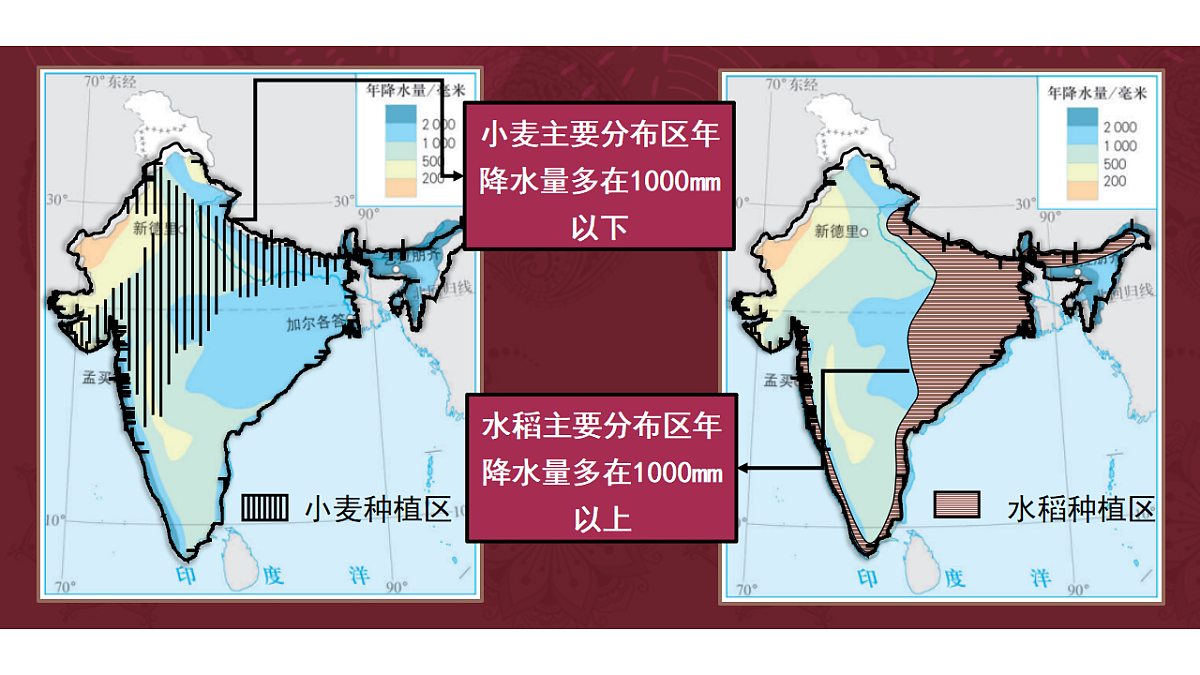 18199691第3页
