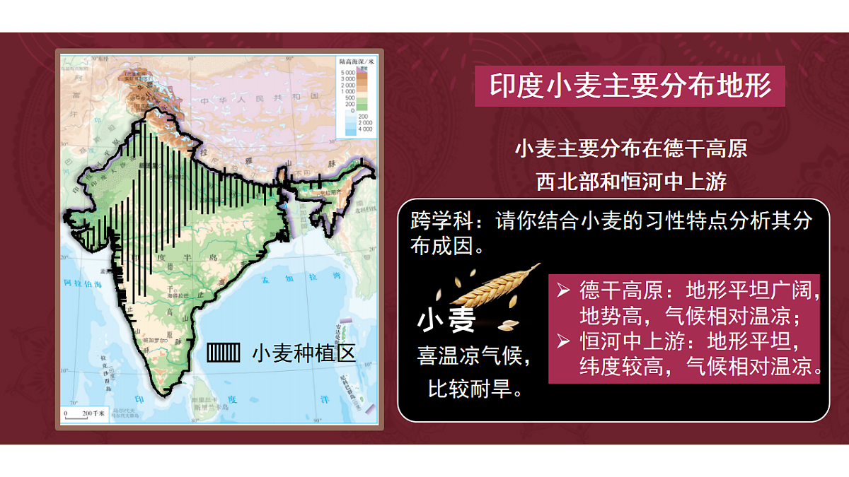 18199691第4页