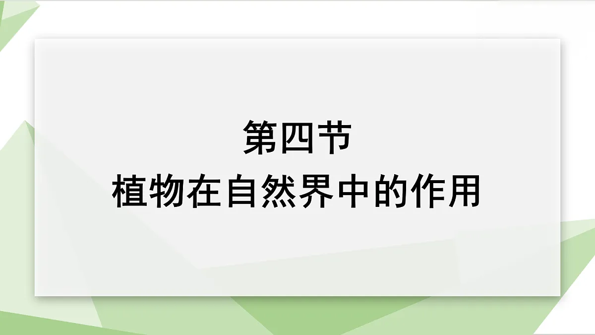 18199700第1页