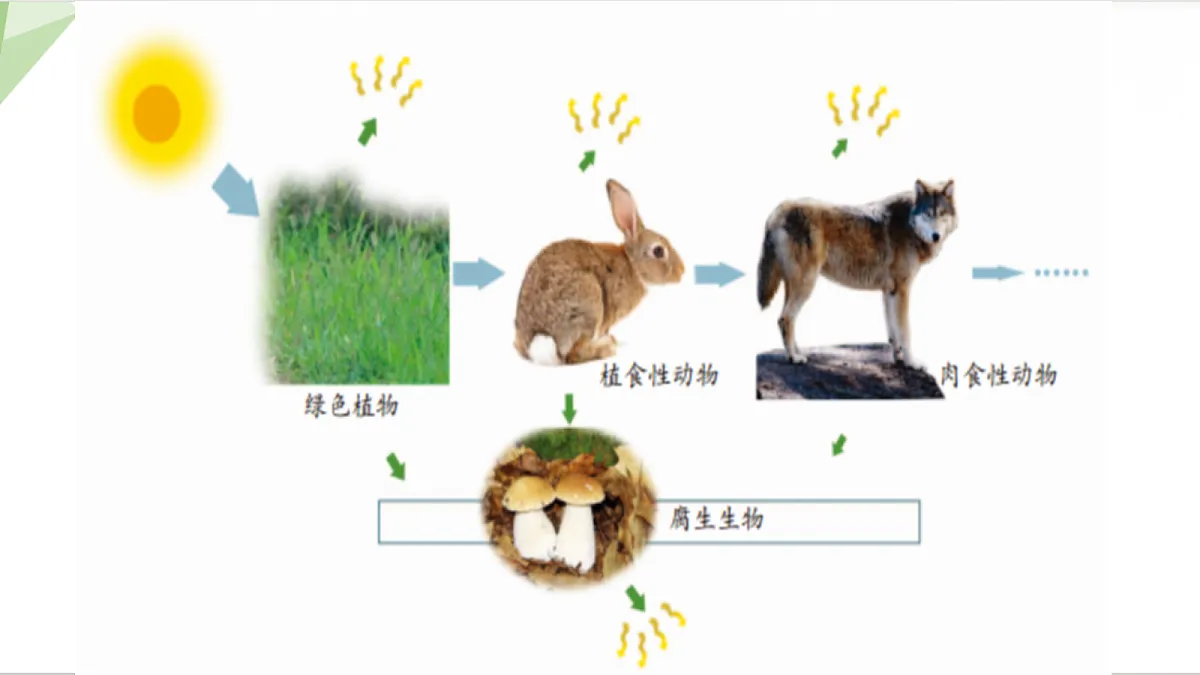 18199700第4页