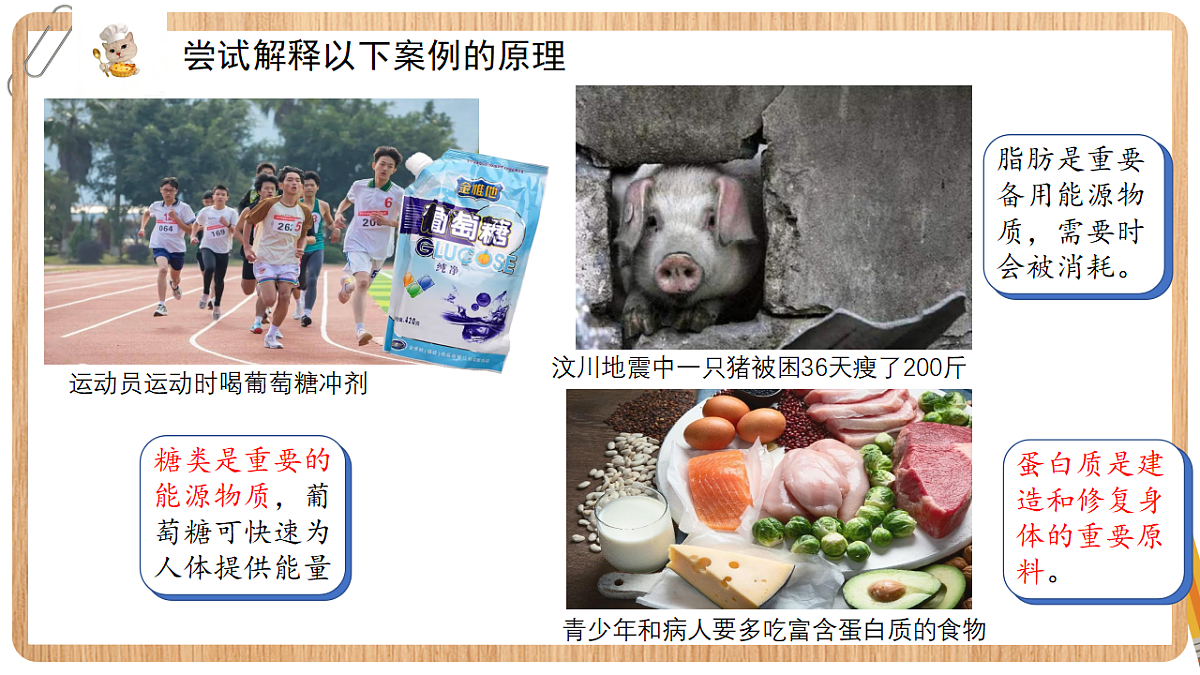 18199710第8页