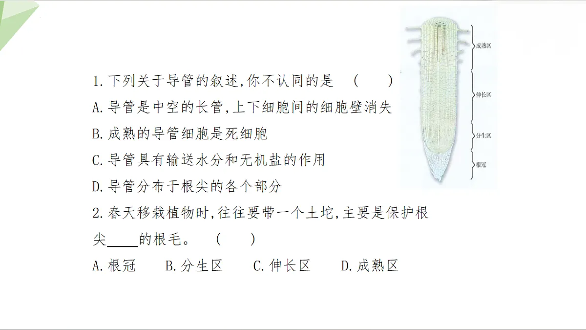 18199773第8页