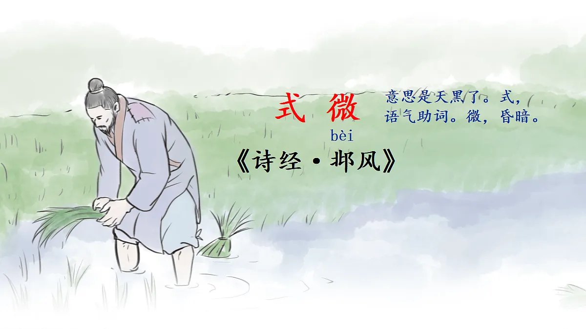 18199783第2页