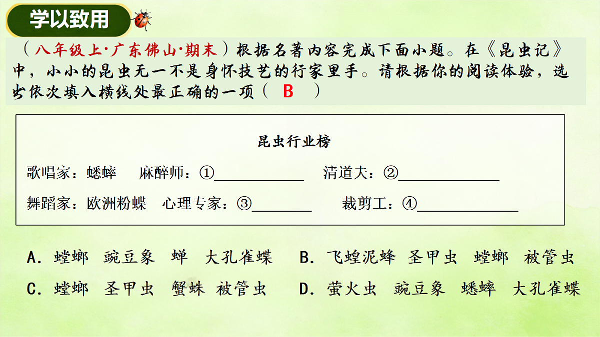 18199809第7页