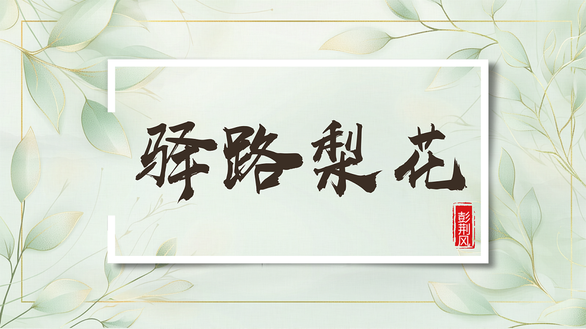18199818第1页
