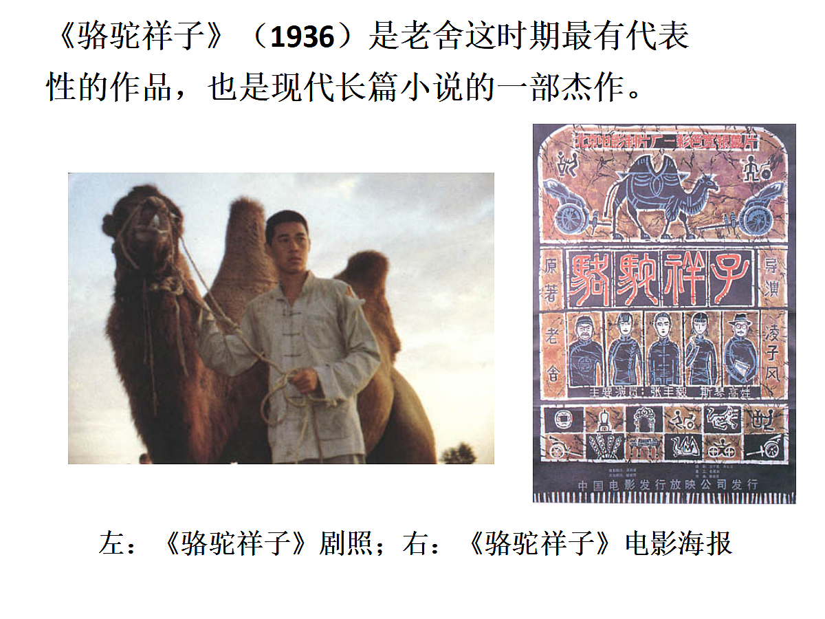 18199866第5页