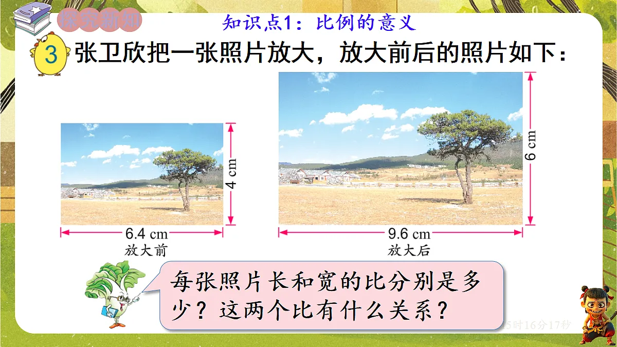 18202466第2页