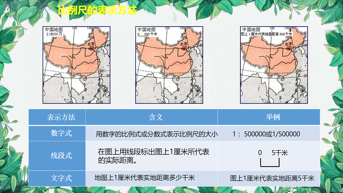 18204471第5页