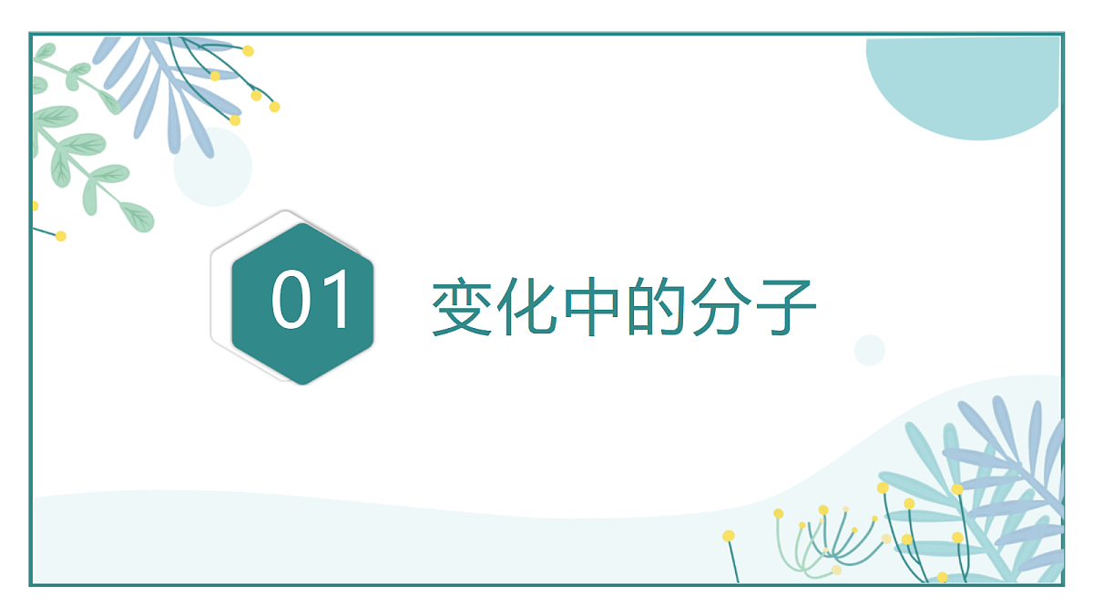 18204593第3页