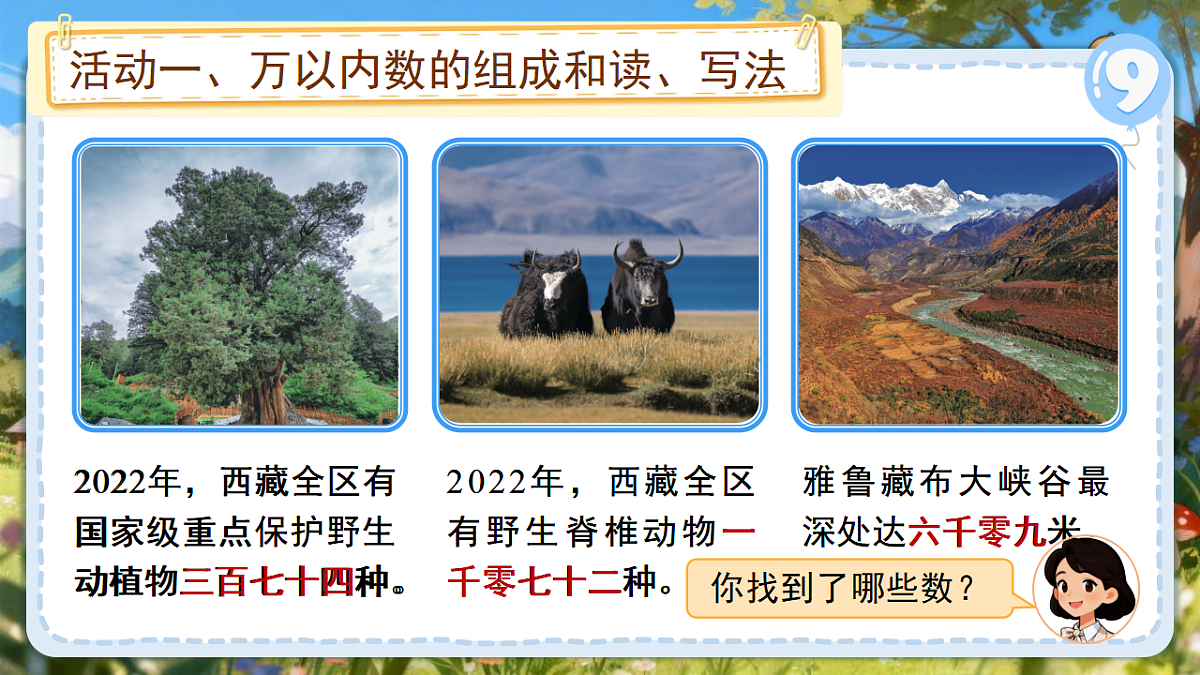 18205304第5页