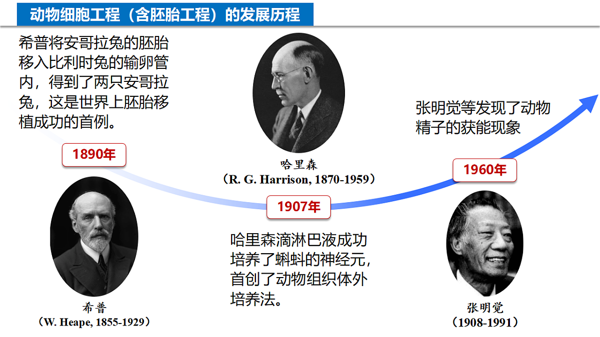 18205934第4页