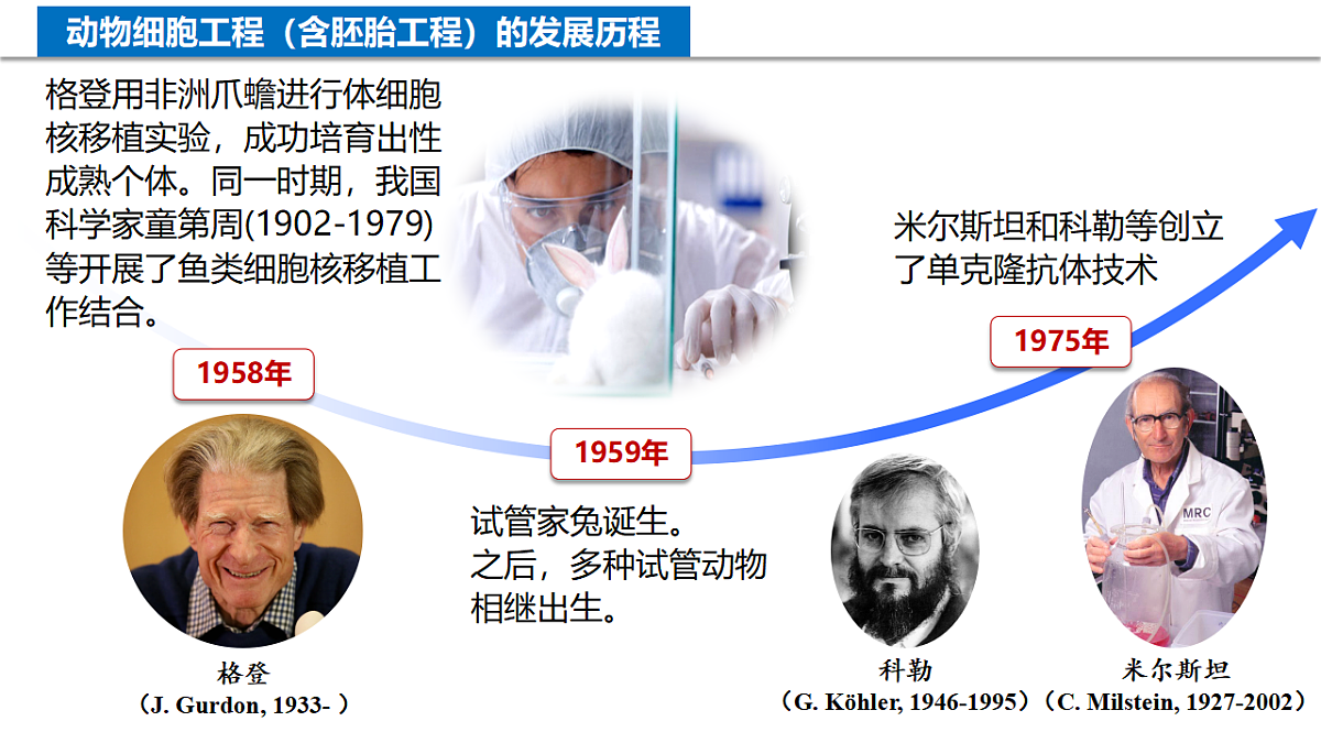 18205934第5页