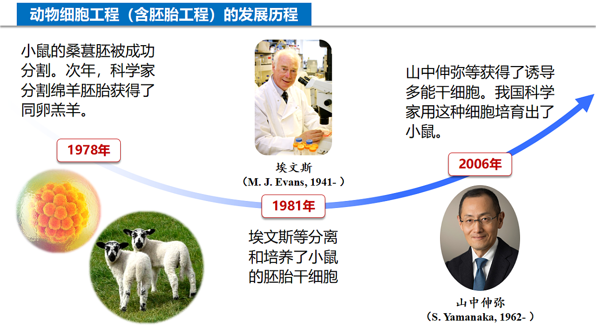 18205934第6页