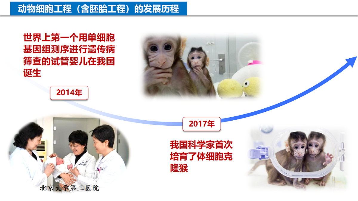 18205934第7页