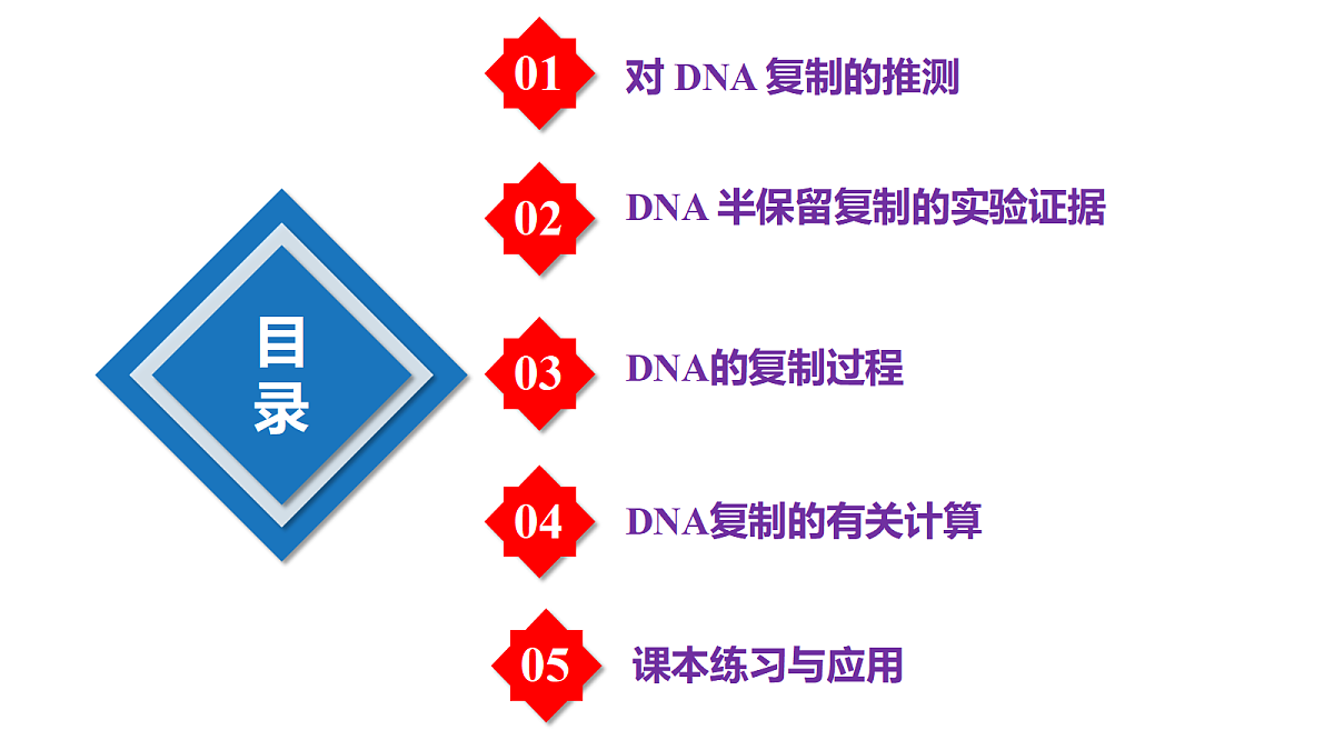 18206090第3页