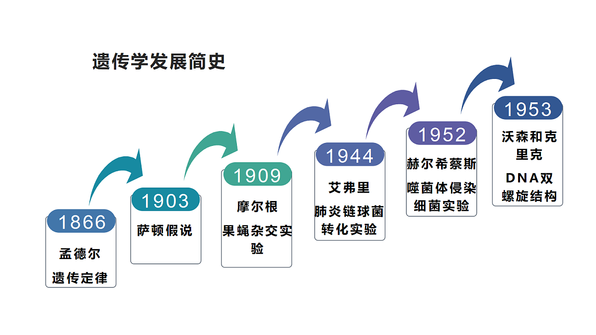 18206090第4页