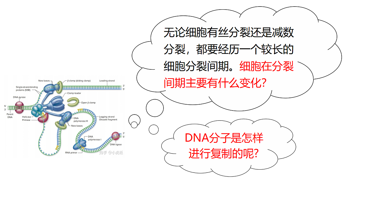 18206090第6页