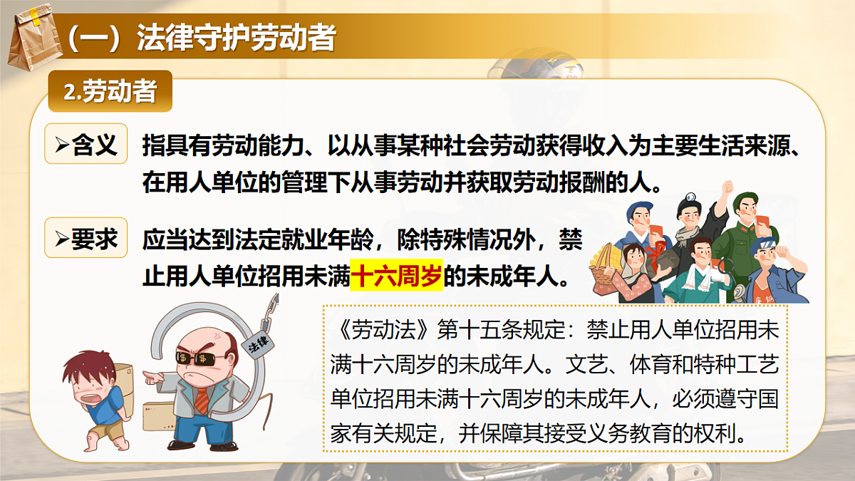 18206287第8页